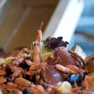 DSC_6733 - 2009-08-21 at 20-14-57